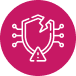 Vulnerability Assessment and Penetration Testing